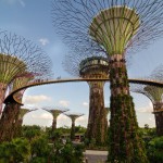 Singapore Supertrees, Gardens by the Bay, Singapore